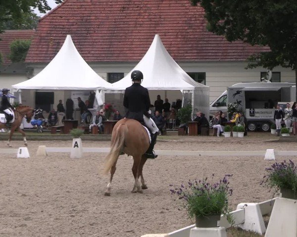 Reitturnier Redefin 2025
