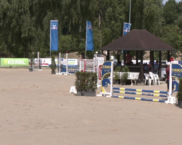 Reitturnier Münster-Roxel 2025
