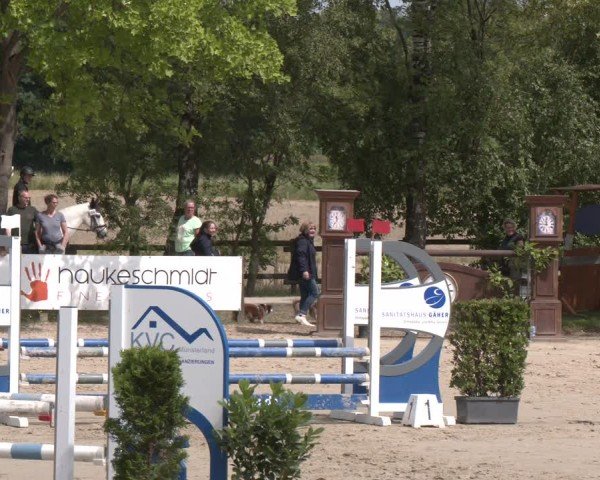 Reitturnier Münster-Roxel 2025