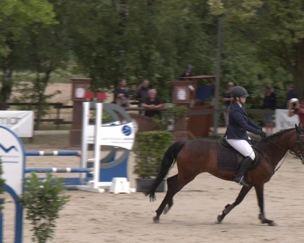 Reitturnier Münster-Roxel 2025