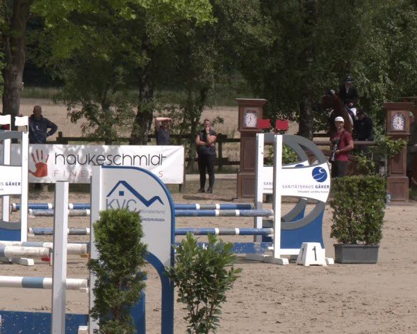 Reitturnier Münster-Roxel 2025