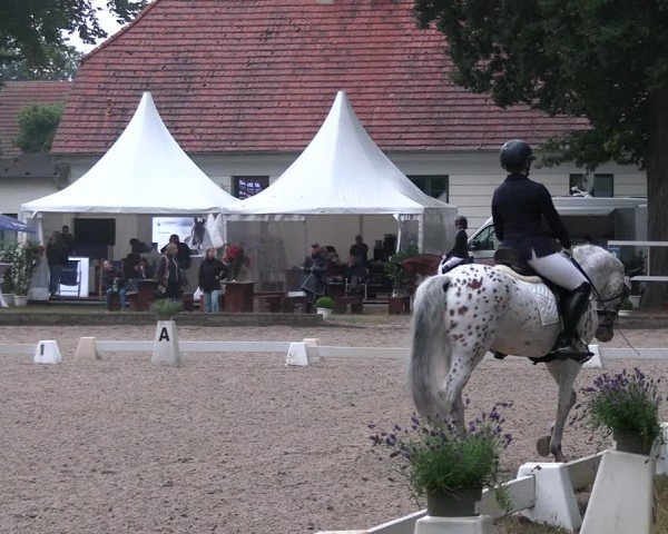 Reitturnier Redefin 2025