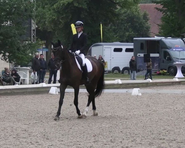 Reitturnier Redefin 2025