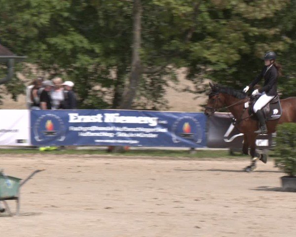 Reitturnier Münster-Roxel 2025