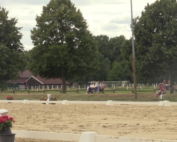 Reitturnier Münster-Roxel 2025