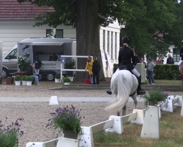 Reitturnier Redefin 2025