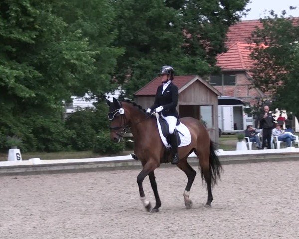 Reitturnier Redefin 2025