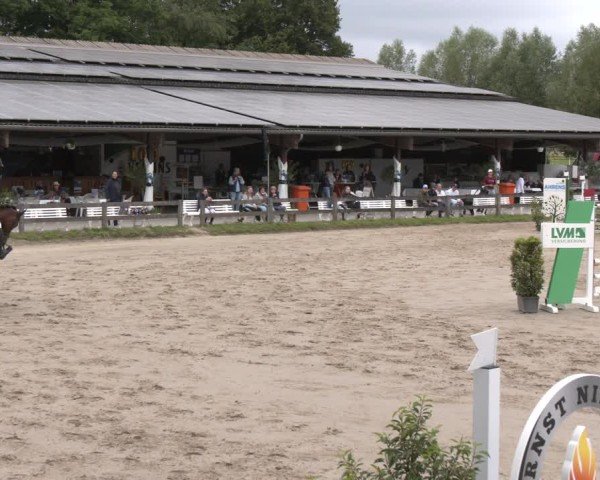 Reitturnier Münster-Roxel 2025