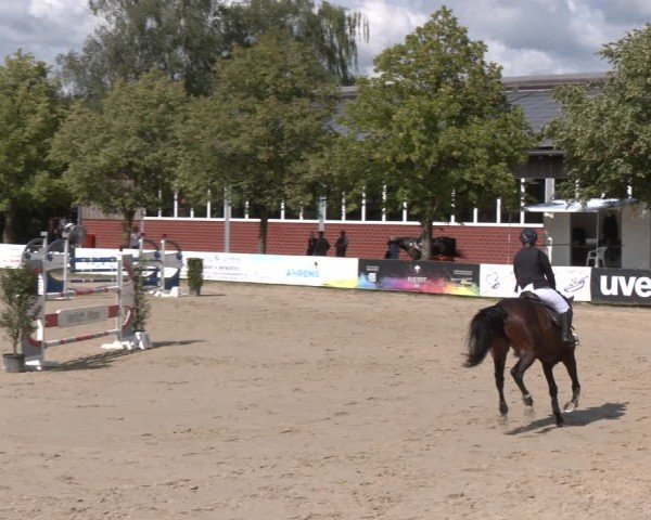 Reitturnier Münster-Roxel 2025