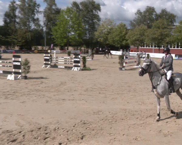 Reitturnier Münster-Roxel 2025