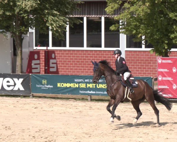 Reitturnier Münster-Roxel 2025