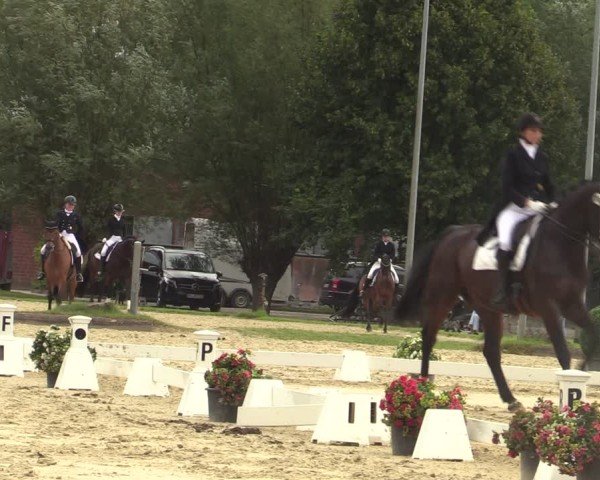 Reitturnier Münster-Roxel 2025