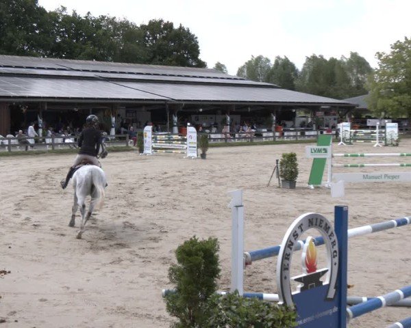 Reitturnier Münster-Roxel 2025