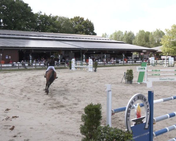Reitturnier Münster-Roxel 2025