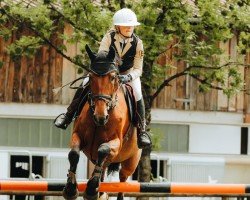 Springpferd Prada Z (Zangersheide Reitpferd, 2019, von Poker de Mariposa Tn)