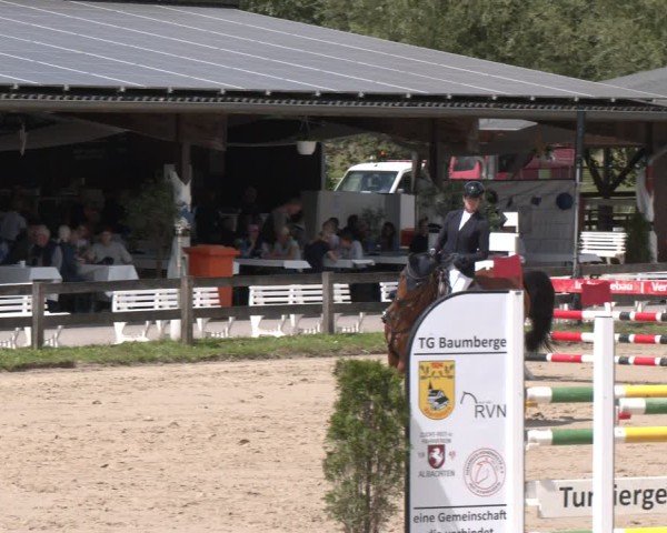 Reitturnier Münster-Roxel 2025