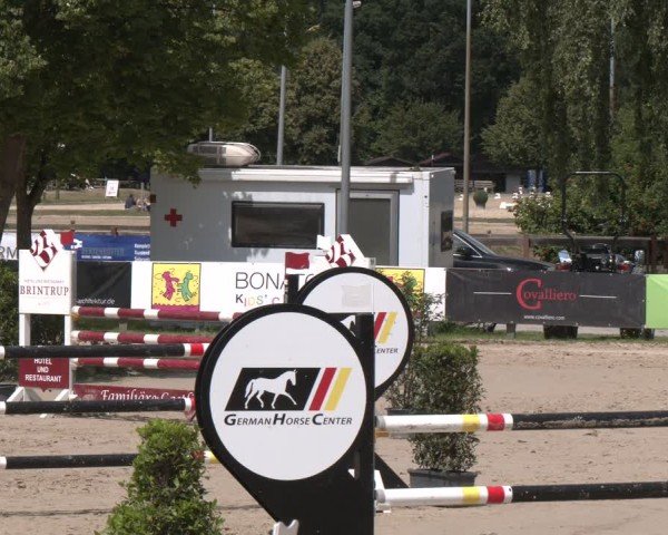 Reitturnier Münster-Roxel 2025