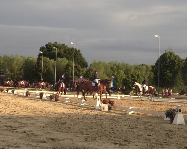 Reitturnier Münster-Roxel 2025
