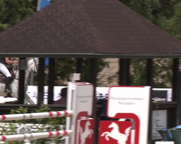 Reitturnier Münster-Roxel 2025