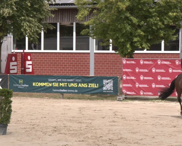 Reitturnier Münster-Roxel 2025