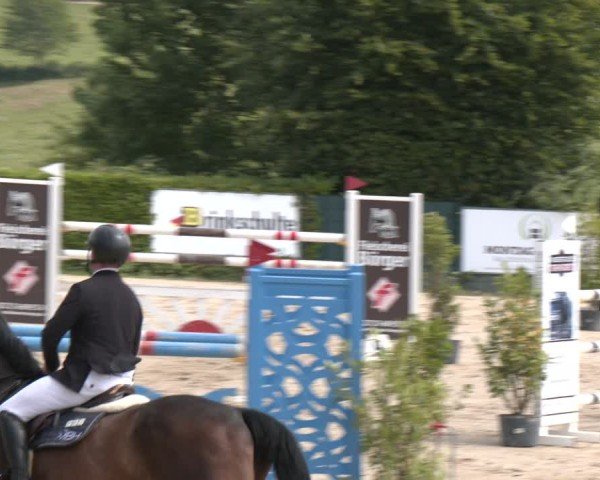 Reitturnier Lindlar-Süttenbach 2025