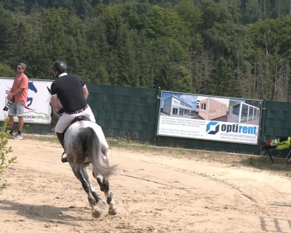 Reitturnier Lindlar-Süttenbach 2025