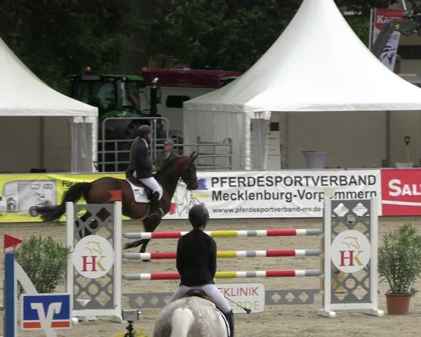 Reitturnier Redefin 2025