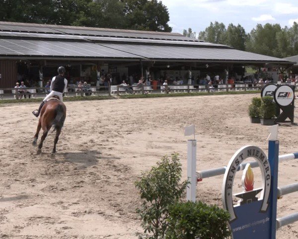 Reitturnier Münster-Roxel 2025