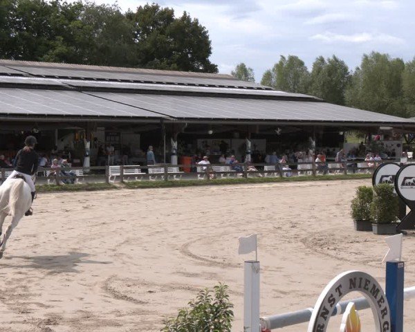 Reitturnier Münster-Roxel 2025