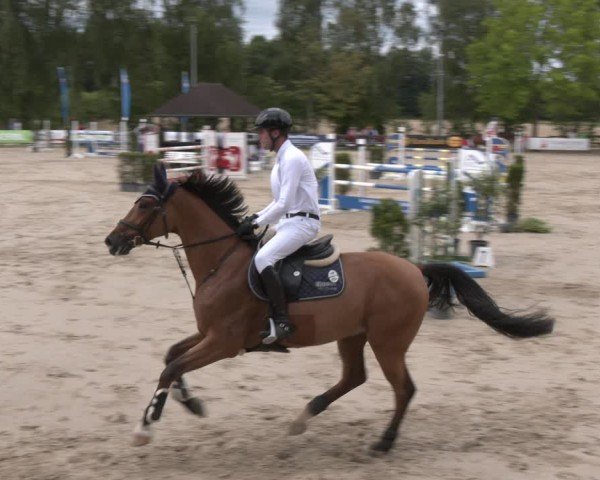 Reitturnier Münster-Roxel 2025