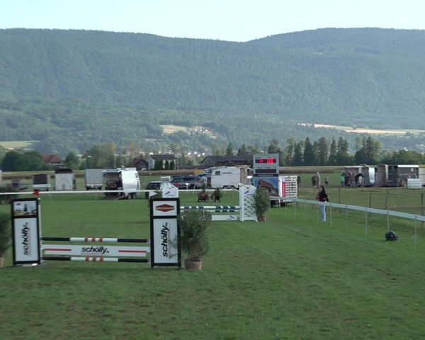 Reitturnier Büren an der Aare 2025