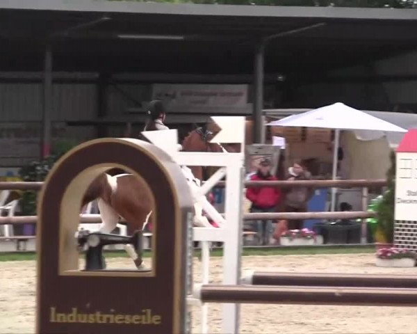 Großes Reit- und Springturnier Kirchhellen/Stall Dieckmann 2014