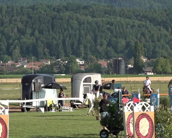 Reitturnier Büren an der Aare 2025
