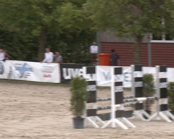 Reitturnier Münster-Roxel 2025
