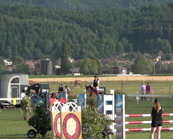 Reitturnier Büren an der Aare 2025