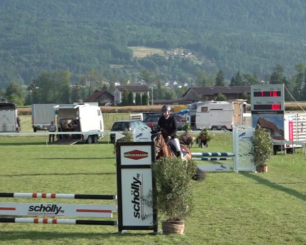 Reitturnier Büren an der Aare 2025