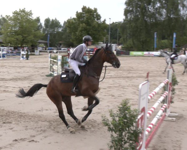 Reitturnier Münster-Roxel 2025