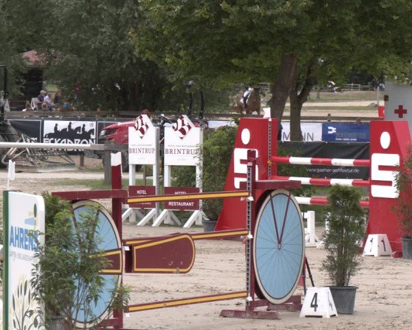 Reitturnier Münster-Roxel 2025