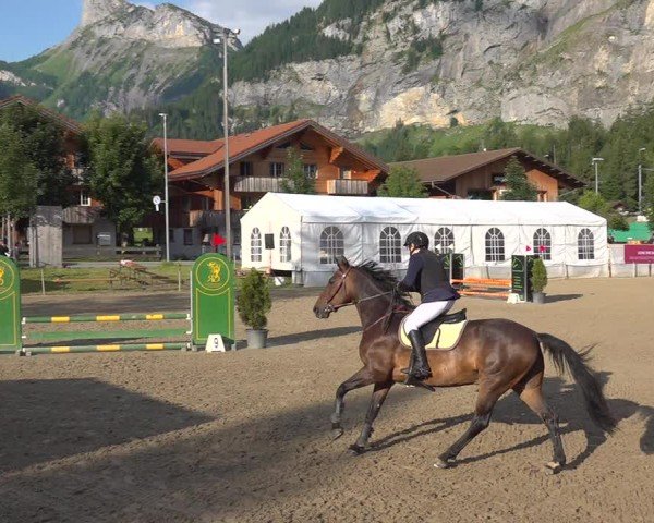 Reitturnier Kandersteg 2025