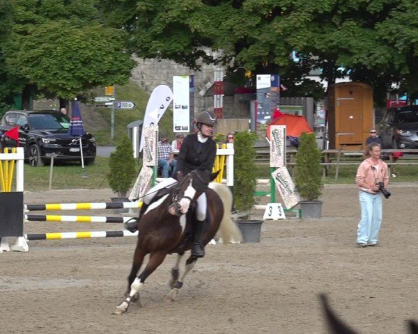 Reitturnier Kandersteg 2025