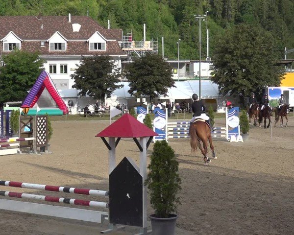Reitturnier Kandersteg 2025