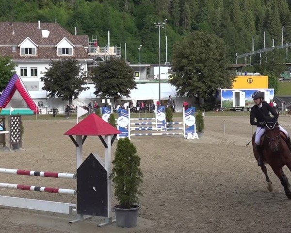 Reitturnier Kandersteg 2025