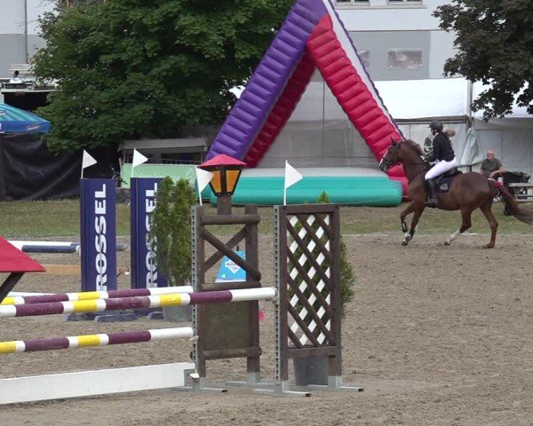Reitturnier Kandersteg 2025
