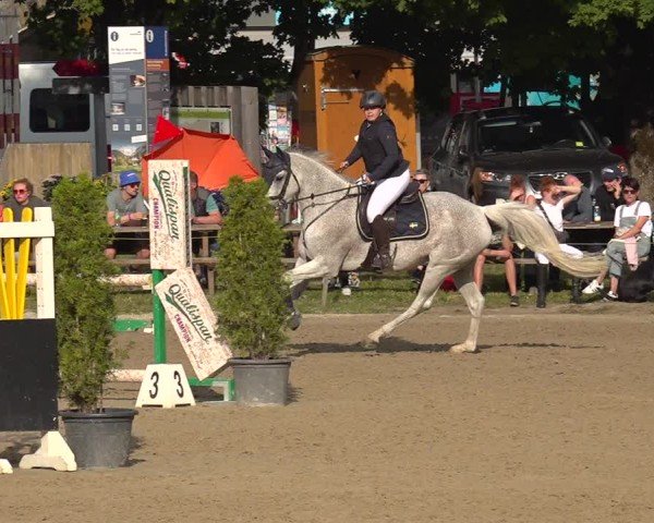 Reitturnier Kandersteg 2025