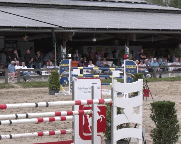 Reitturnier Münster-Roxel 2025