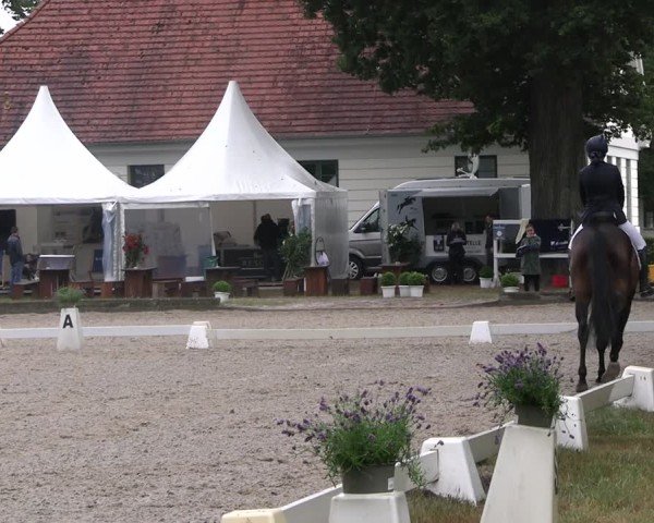 Reitturnier Redefin 2025