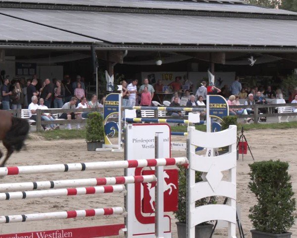 Reitturnier Münster-Roxel 2025