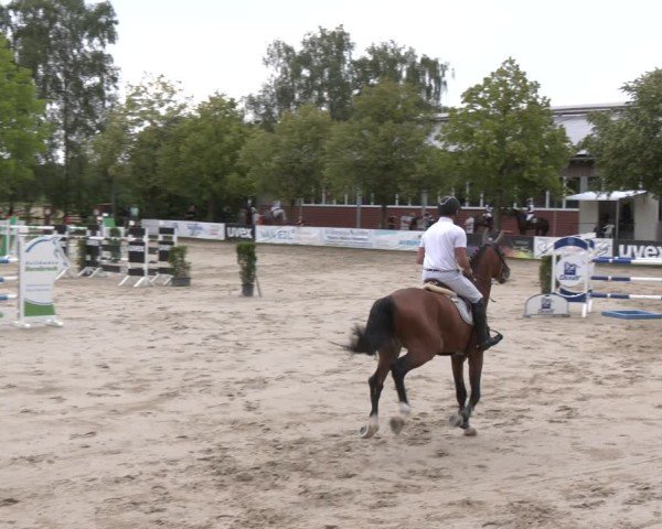 Reitturnier Münster-Roxel 2025