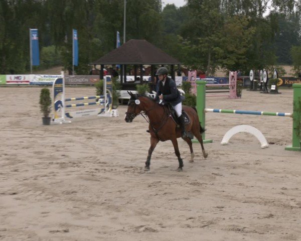 Reitturnier Münster-Roxel 2025