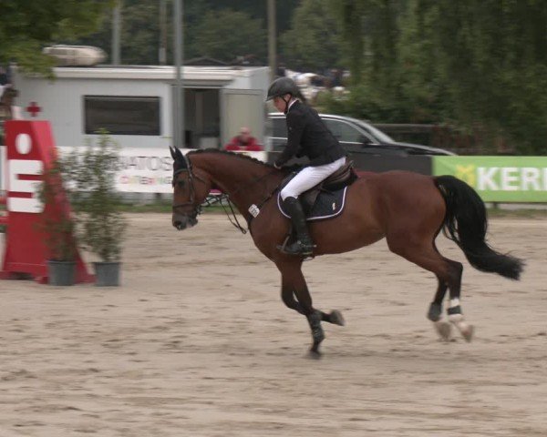 Reitturnier Münster-Roxel 2025